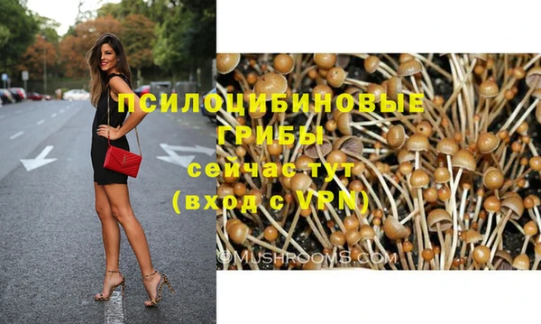 марки nbome Заводоуковск