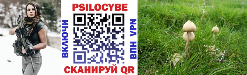 Псилоцибиновые грибы мухоморы  Инза 